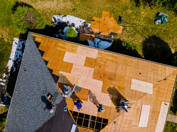 Best Roof Maintenance Services  in Lake Shastina, CA