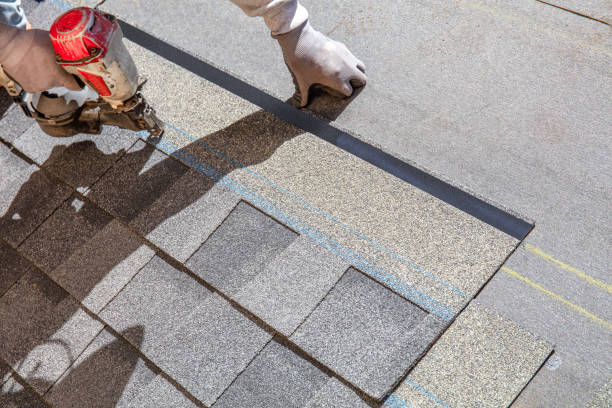 Best Roof Repair Services  in Lake Shastina, CA