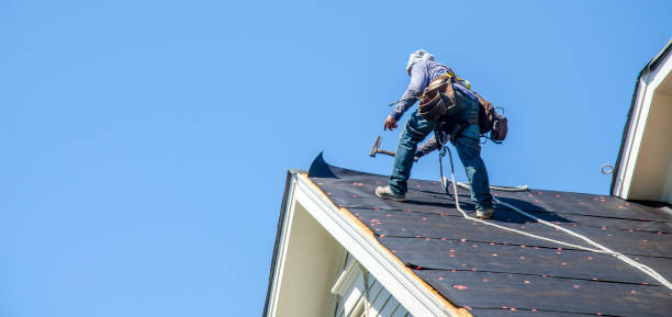 Best Gutter Installation and Roofing  in Lake Shastina, CA
